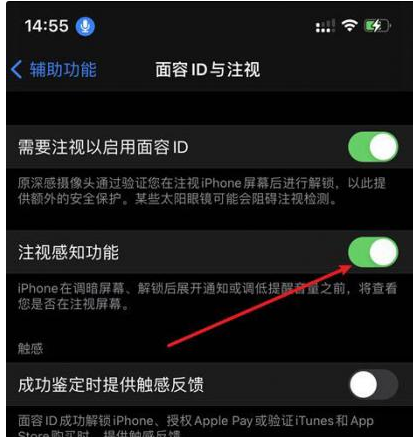 莎车苹果14维修网点分享iPhone14注视感知功能有什么用 